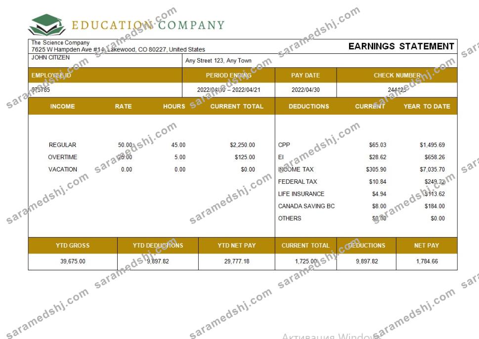 Education company fully editable payslip template in Word and Excel formats